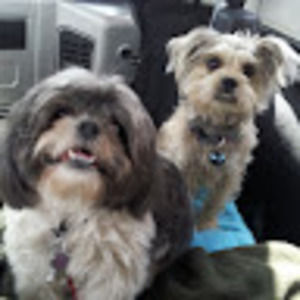 Meet your Posher, Tina